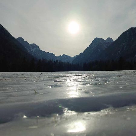 Ferienwohnung Turisticna Kmetija Psnak Mojstrana Exterior foto