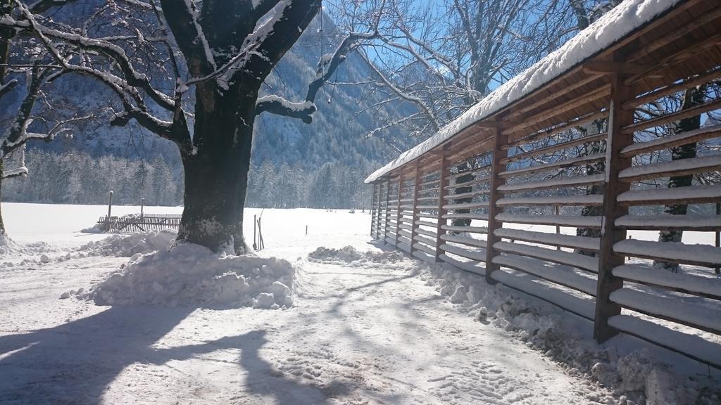 Ferienwohnung Turisticna Kmetija Psnak Mojstrana Exterior foto