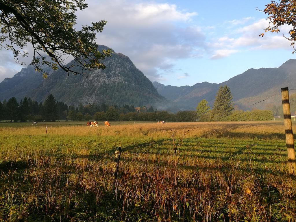 Ferienwohnung Turisticna Kmetija Psnak Mojstrana Exterior foto